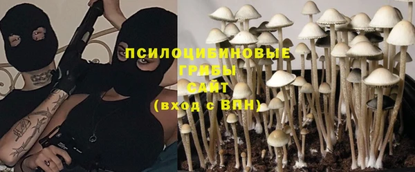 кокс Инта