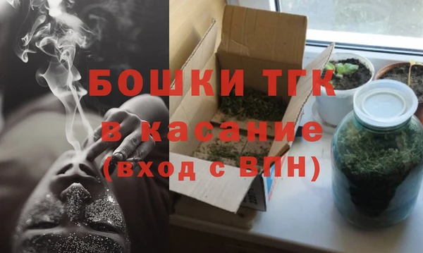 mdpv Инсар