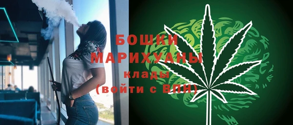 mdpv Инсар