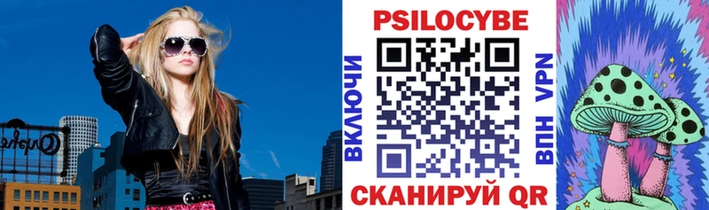 Галлюциногенные грибы Psilocybe  купить наркоту  hydra ссылки  darknet формула  Плёс 